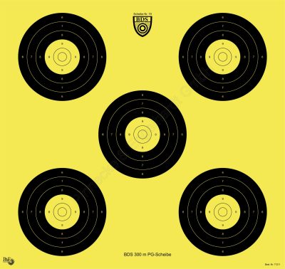 BDS - Scheibe Nr. 19 BDS-300m-PG-Scheibe *NEU*