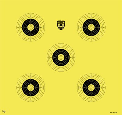 BDS - Scheibe Nr. 2 BDS-ZF-Scheibe 50 m *NEU*