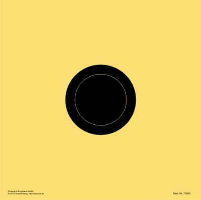 LP-Ausbildungsscheibe 10 m